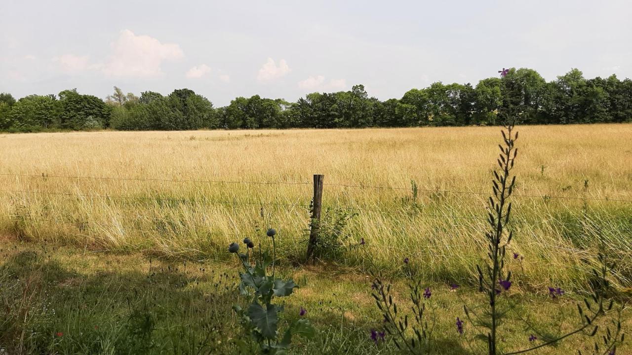Biesboschbest Werkendam Exteriér fotografie